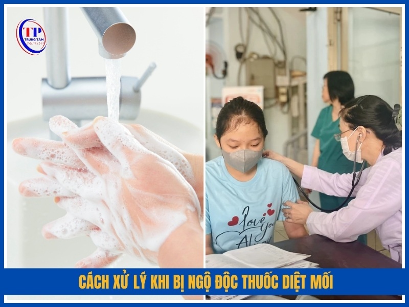 Cách xử lý khi bị ngộ độc thuốc diệt mối