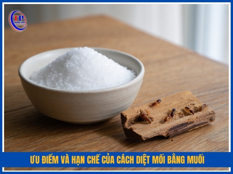 Ưu điểm và hạn chế của cách diệt mối bằng muối