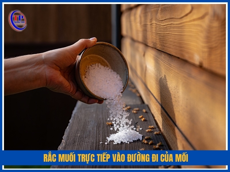 Rắc muối trực tiếp vào đường đi của mối
