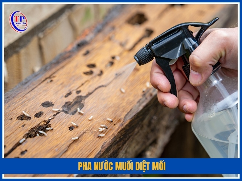 Pha nước muối diệt mối