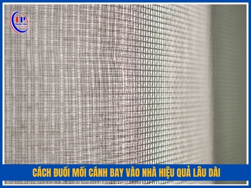 Cách đuổi mối cánh bay vào nhà hiệu quả lâu dài