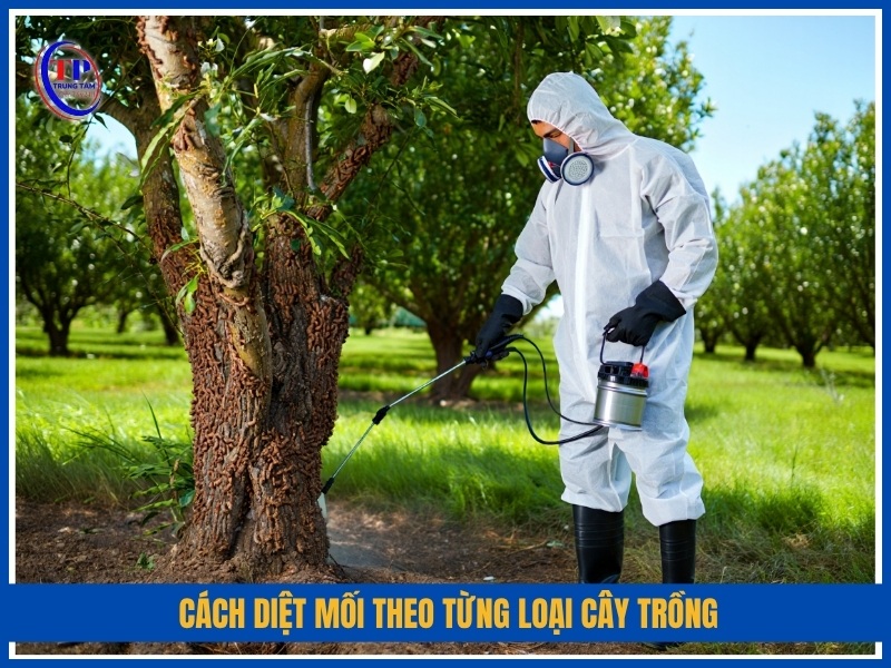 Cách diệt mối theo từng loại cây trồng
