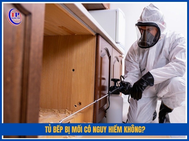 Tủ bếp bị mối có nguy hiểm không?