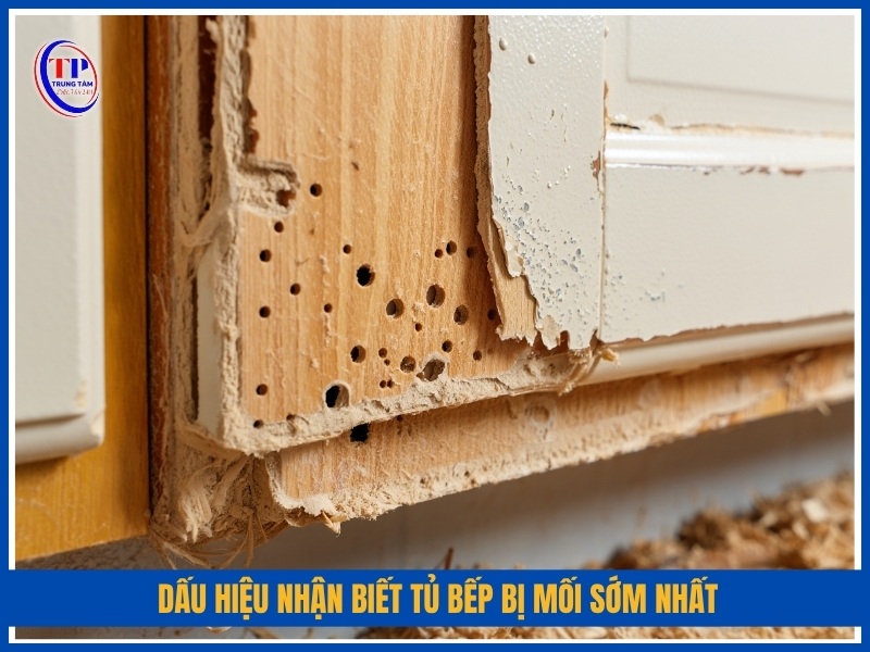 Dấu hiệu nhận biết tủ bếp bị mối sớm nhất