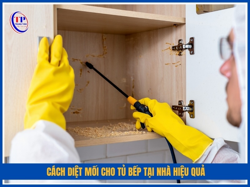 Cách diệt mối cho tủ bếp tại nhà hiệu quả