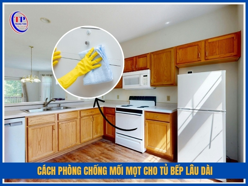 Cách phòng chống mối mọt cho tủ bếp lâu dài
