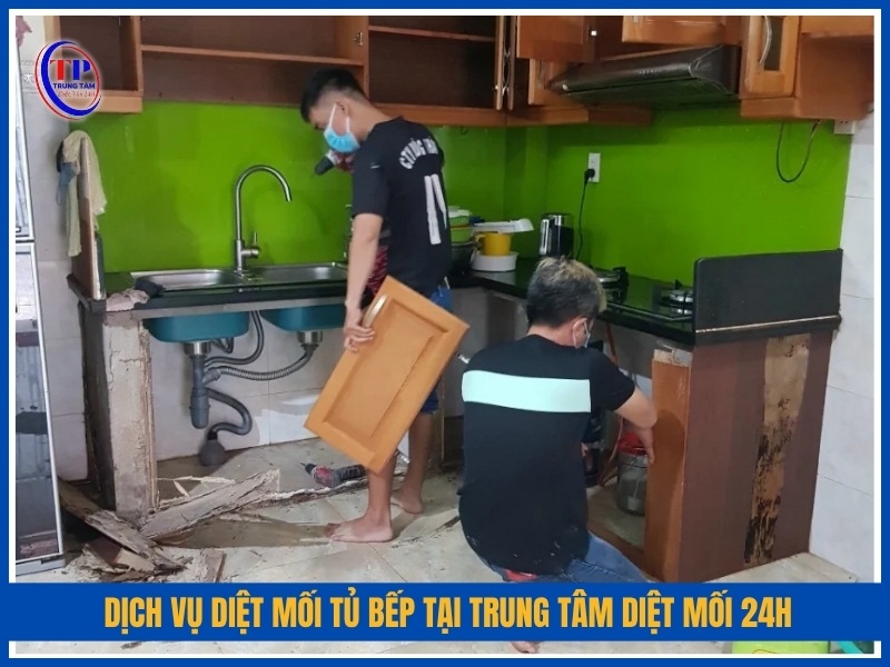 Dịch vụ diệt mối tủ bếp tại Trung Tâm Diệt Mối 24H