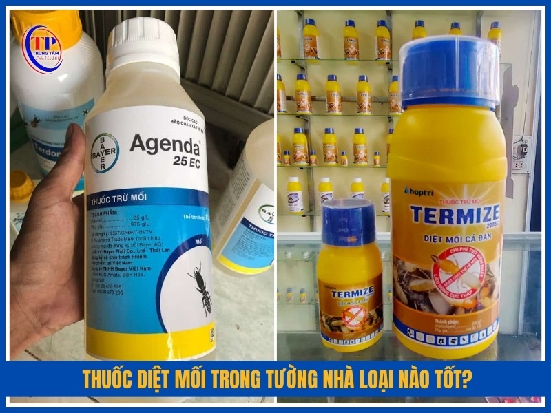 Thuốc diệt mối trong tường nhà loại nào tốt?