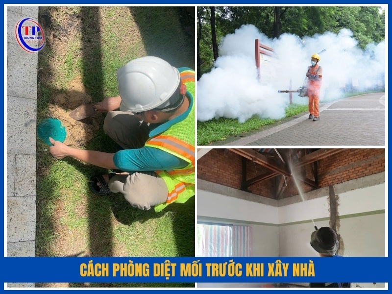 Cách phòng diệt mối trước khi xây nhà theo từng giai đoạn