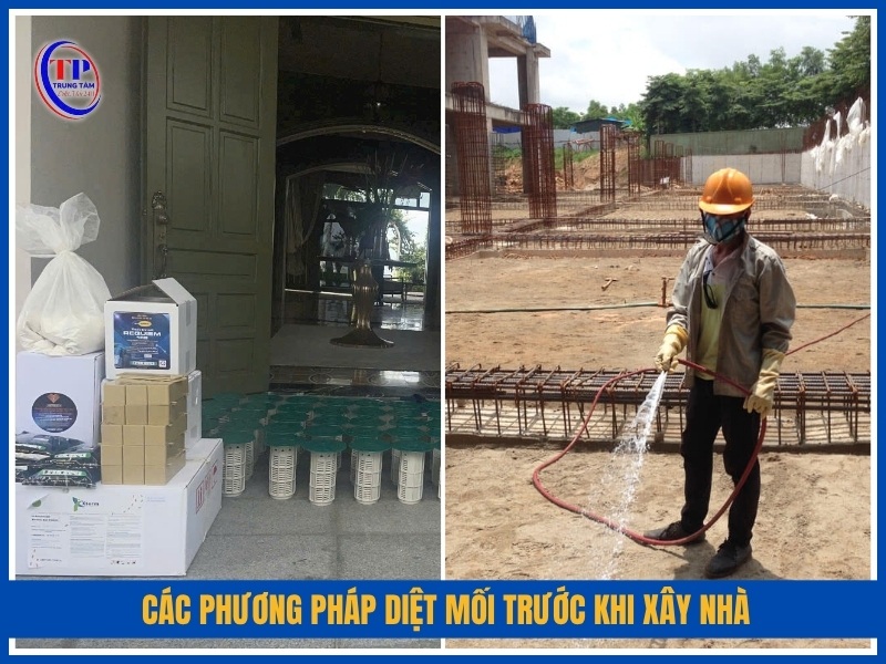 Các phương pháp diệt mối trước khi xây nhà phổ biến