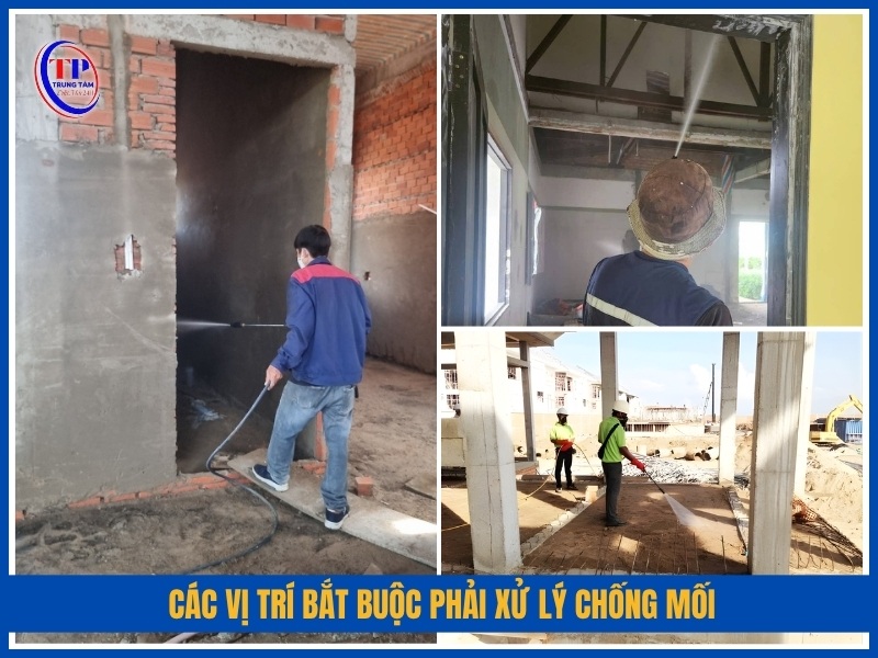 Các vị trí bắt buộc phải xử lý chống mối