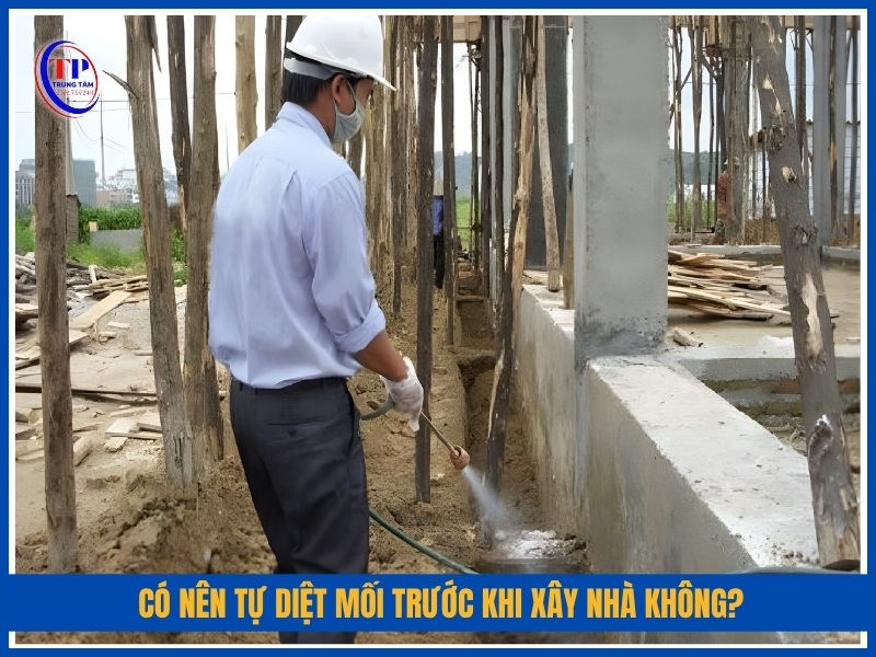 Có nên tự diệt mối trước khi xây nhà không?