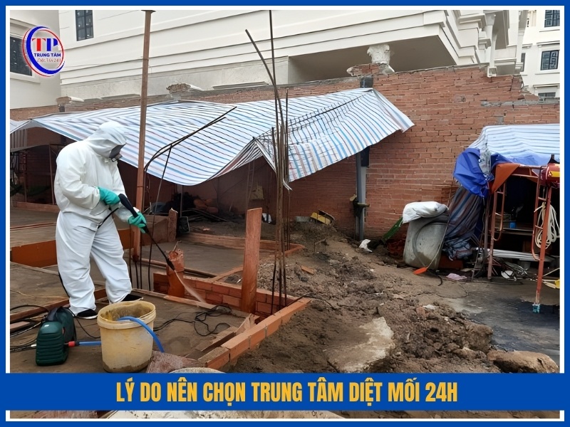 Lý do nên chọn Trung Tâm Diệt Mối 24H