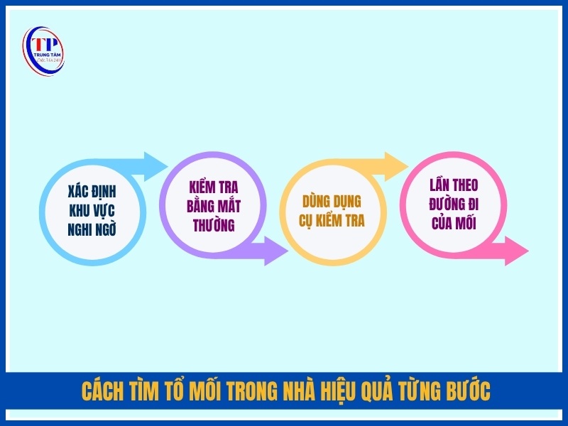 Cách tìm tổ mối trong nhà hiệu quả từng bước