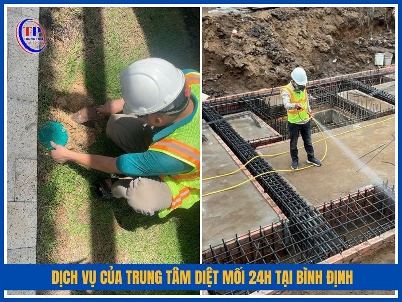 Dịch vụ của Trung Tâm Diệt Mối 24H tại Bình Định