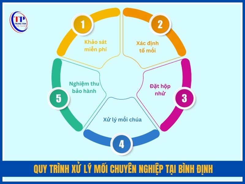 Quy trình xử lý mối chuyên nghiệp tại Bình Định 