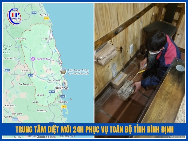 Phục vụ toàn bộ địa bàn tỉnh Bình Định