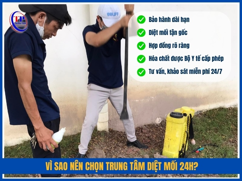 Vì sao nên chọn Trung Tâm Diệt Mối 24H?