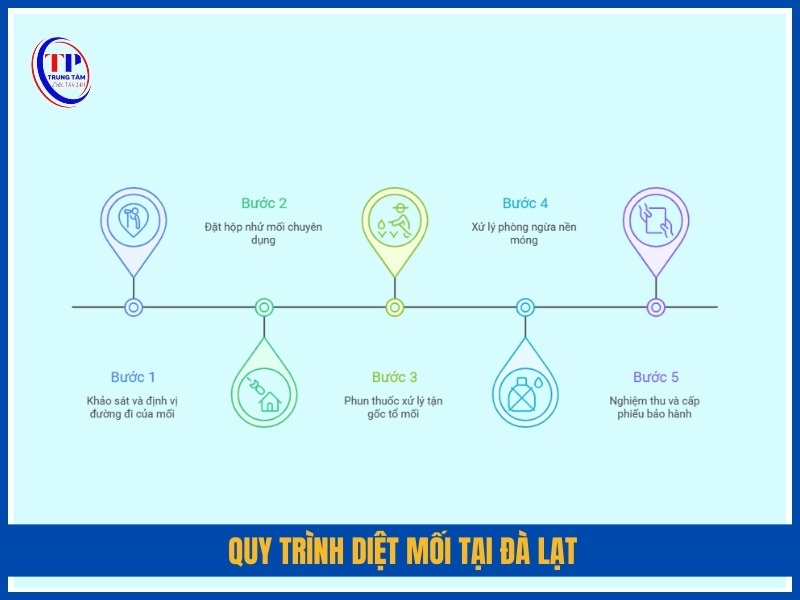 Quy trình diệt mối tại Đà Lạt