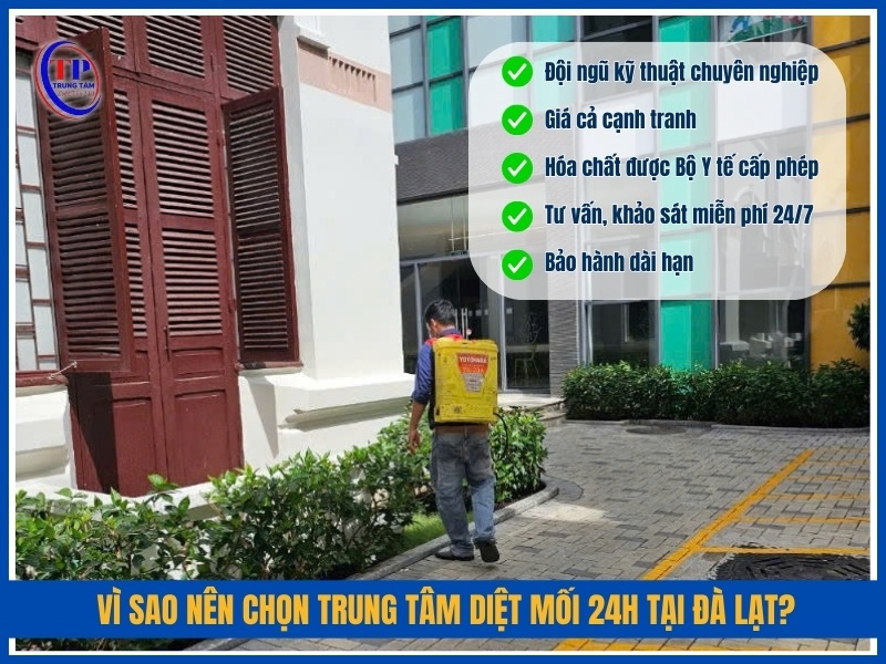 Vì sao nên chọn Trung Tâm Diệt Mối 24H tại Đà Lạt?