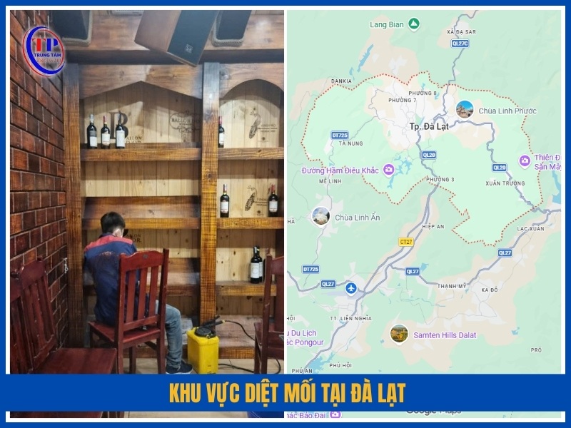 Khu vực diệt mối tại Đà Lạt