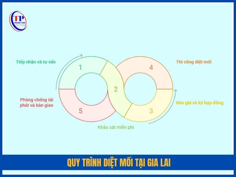 Quy trình diệt mối tại Gia Lai