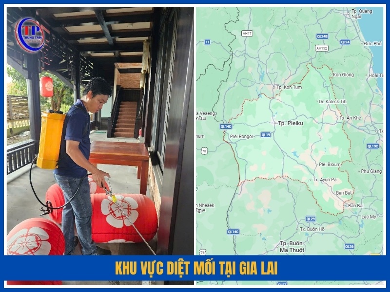 Khu vực diệt mối tại Gia Lai
