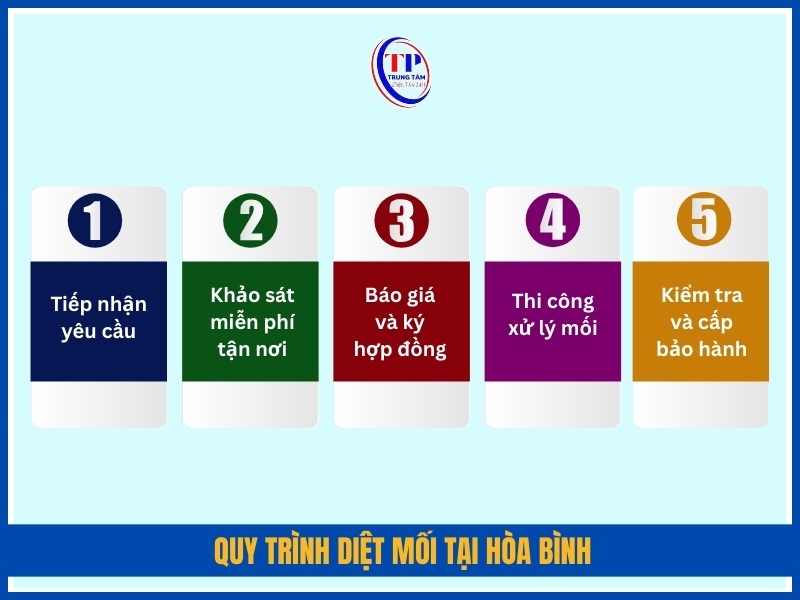 Quy trình diệt mối chuyên nghiệp