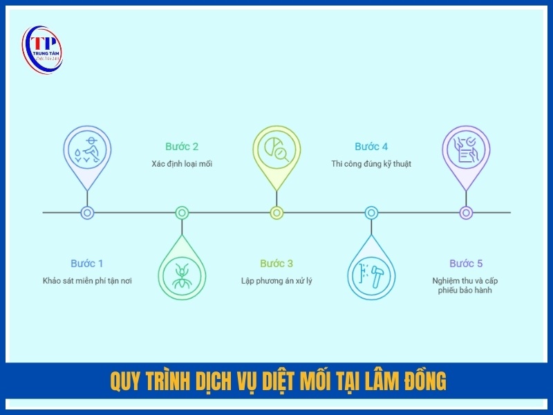 Quy trình dịch vụ diệt mối tại Lâm Đồng