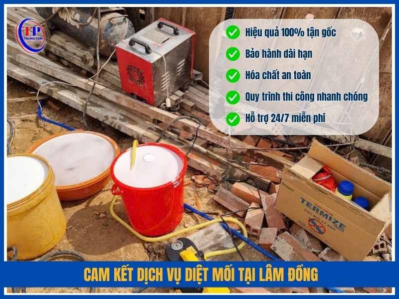 Cam kết dịch vụ diệt mối tại Lâm Đồng
