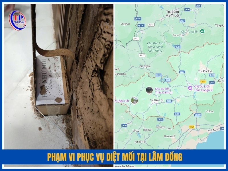 Phạm vi phục vụ diệt mối tại Lâm Đồng