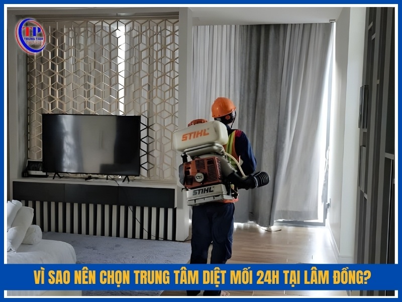 Vì sao nên chọn Trung Tâm Diệt Mối 24H tại Lâm Đồng?