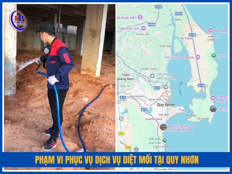 Phạm vi phục vụ dịch vụ diệt mối tại Quy Nhơn