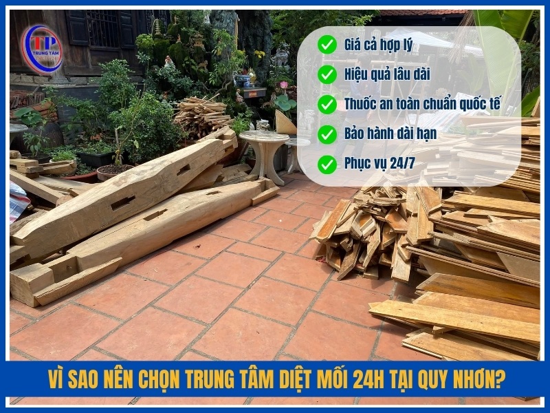 Vì sao nên chọn Trung Tâm Diệt Mối 24H tại Quy Nhơn?