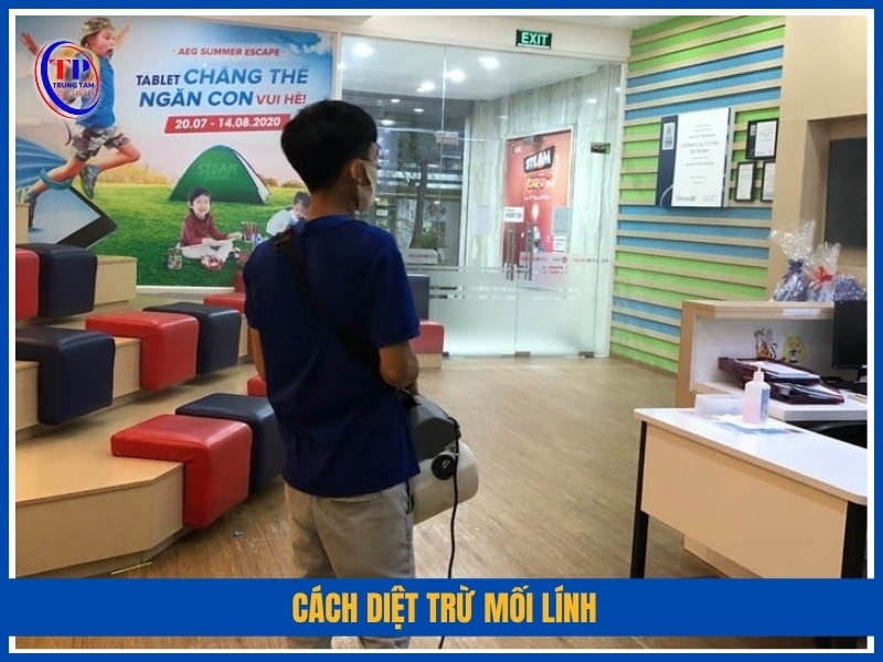 Cách diệt trừ mối lính