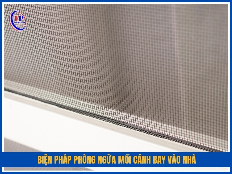 Biện pháp phòng ngừa mối cánh bay vào nhà