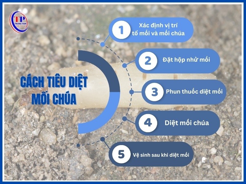 Cách tiêu diệt mối chúa