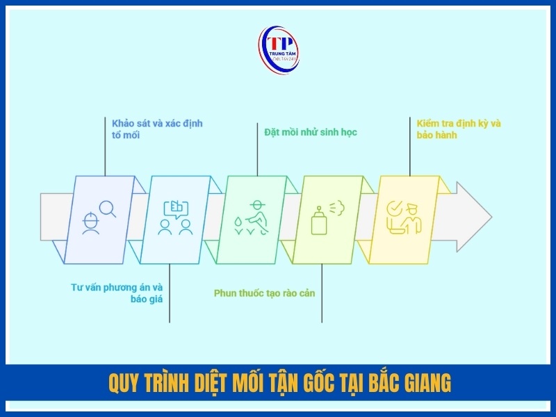 Quy trình diệt mối tận gốc tại Bắc Giang