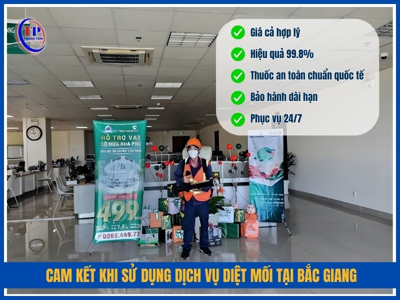 Cam kết khi sử dụng dịch vụ diệt mối tại Bắc Giang