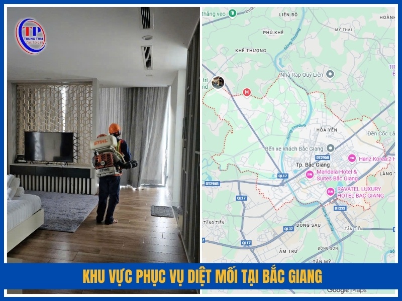 Khu vực phục vụ diệt mối tại Bắc Giang