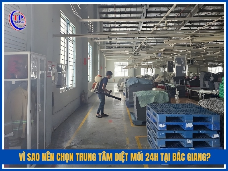 Vì sao nên chọn Trung Tâm Diệt Mối 24H tại Bắc Giang?