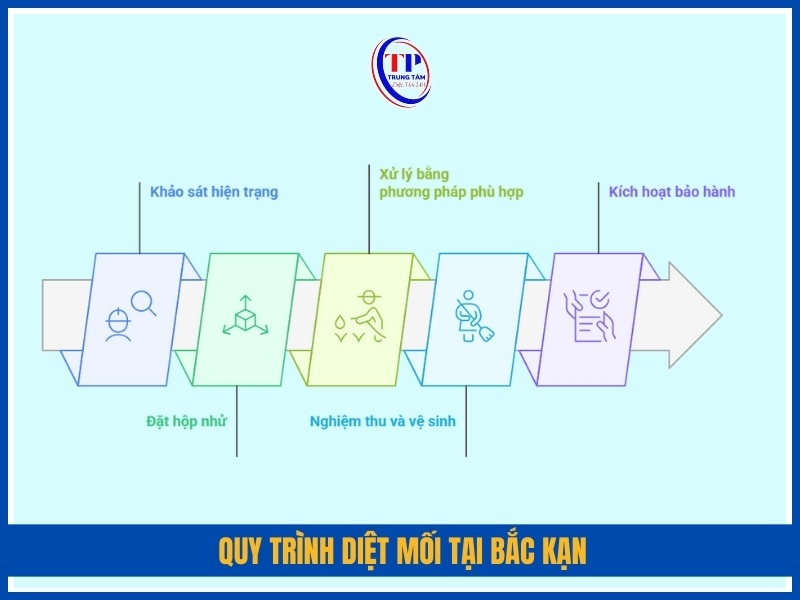 Quy trình diệt mối tại Bắc Kạn của Trung Tâm Diệt Mối 24H