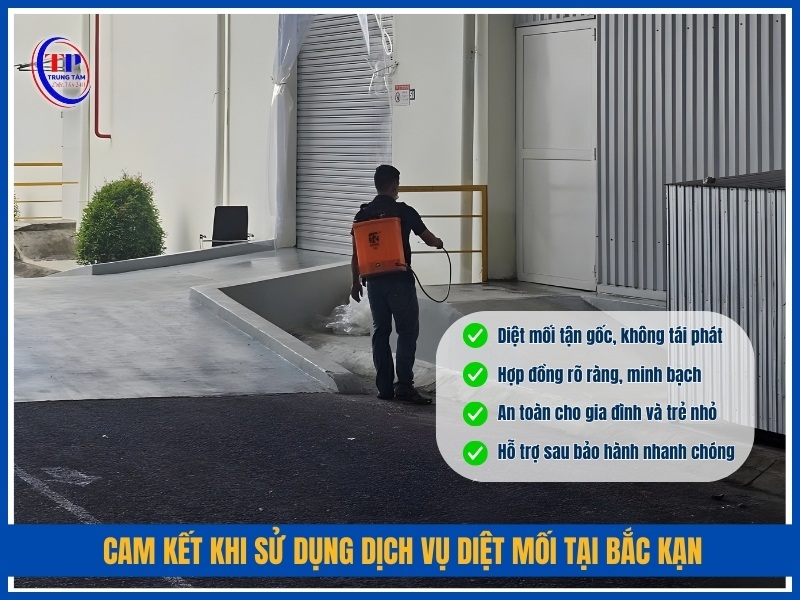 Cam kết khi sử dụng dịch vụ diệt mối tại Bắc Kạn