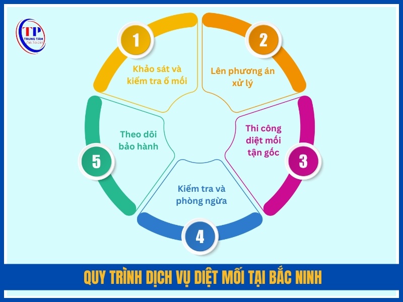 Quy trình dịch vụ diệt mối tại Bắc Ninh