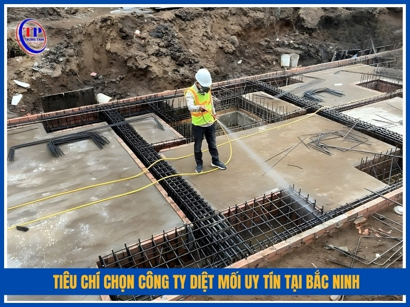 Tiêu chí chọn công ty diệt mối uy tín tại Bắc Ninh
