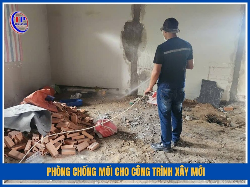 Phòng chống mối cho công trình xây mới