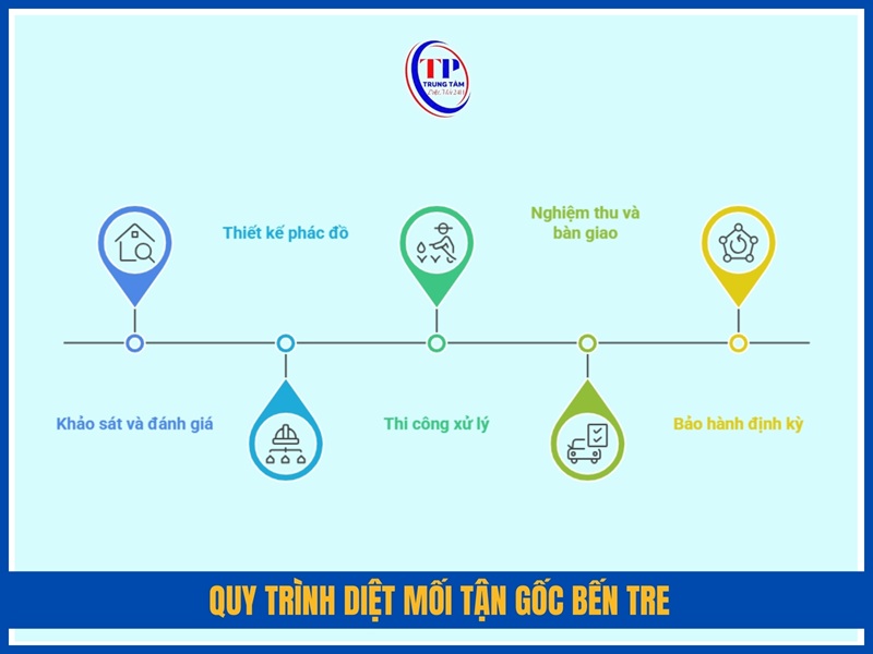 Quy trình diệt mối tận gốc Bến Tre