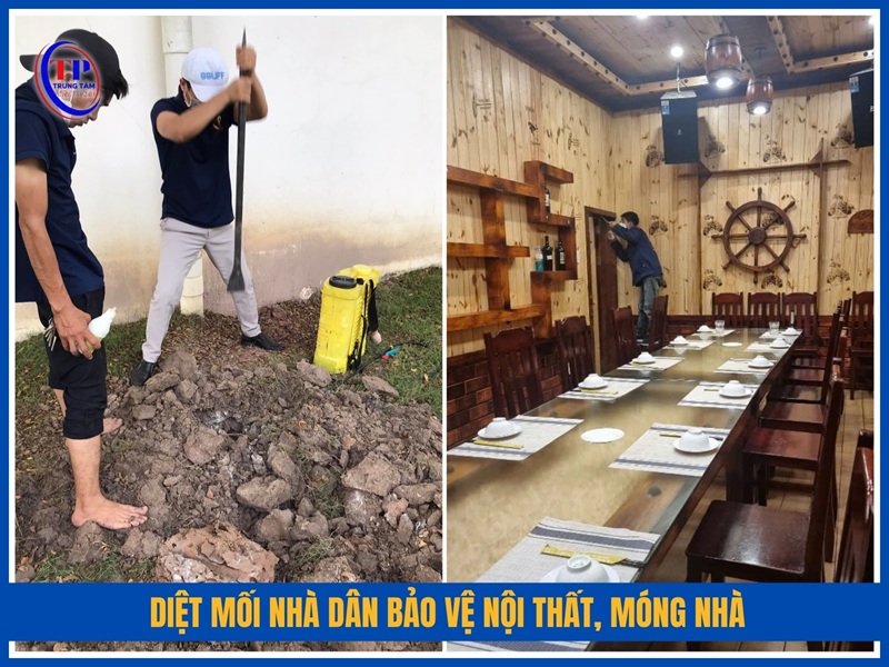 Diệt mối nhà dân bảo vệ nội thất, móng nhà