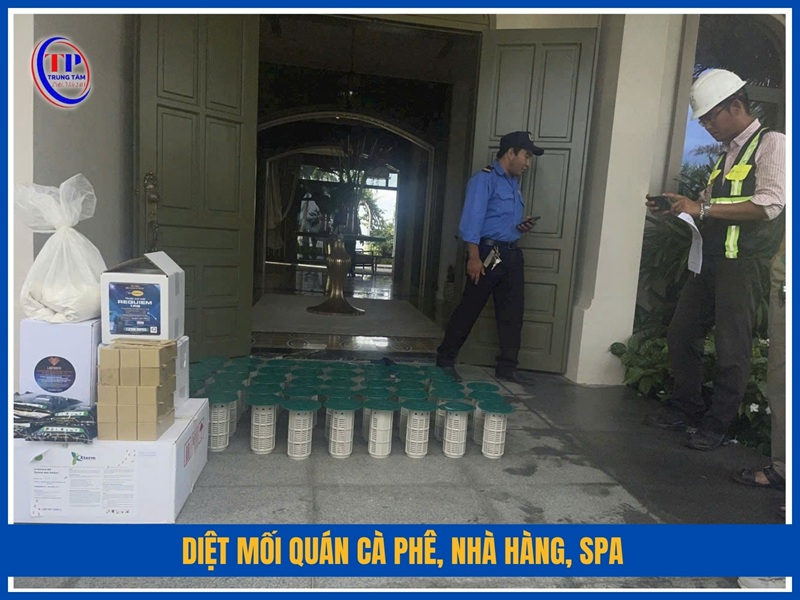 Diệt mối quán cà phê, nhà hàng, spa