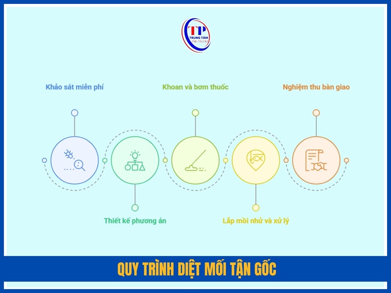 Quy trình diệt mối tận gốc